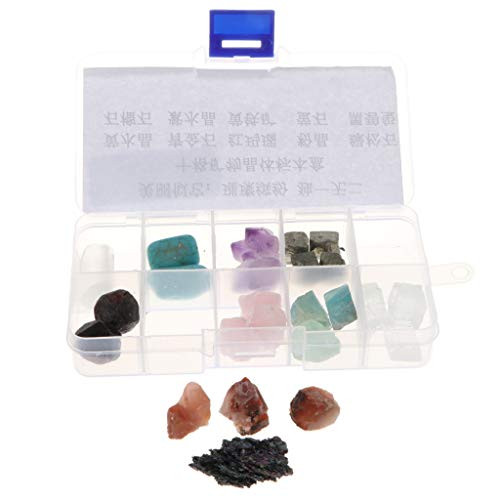 Flameer 10pcs Set Rocks and Minerals Collection Earth Science Toy Geology Teaching Aids Tool _ Quartz Crystal Stone Specimens  B