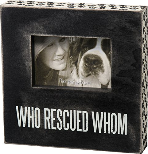 Primitives by Kathy 23058 Box Frame, Who Rescued Whom, 10 by 10", 10 x 10, Neutral