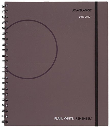 at-A-Glance 2018-2019 Academic Year Weekly & Monthly Planner/Appointment Book, Large, 8-3/4 x 11, Plan.Write.Remember, Gray (70595707)