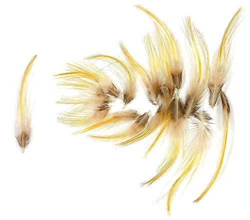Golden Pheasant Crown Feathers (20 Pieces), Yellow Gold (Extra Small)