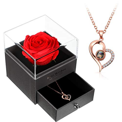 I Love You Necklace 100 Languages Projection Heart Pendant Necklace Crystal Loving Memory Collarbone Necklace with Red Rose Jewelry Storage Box for Valentine's Day _Rose Gold_ I Love You Necklace 100 Languages Projection Heart Pendant Necklace Crystal Loving Memory Collarbone Necklace with Red Rose Jewelry Storage Box for Valentine's Day _Rose Gold_