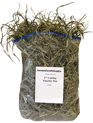 1 Lb Second Cut Timothy Hay_ Bunny_ Guinea Pig and Chinchilla Hay