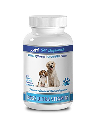 Dog Hair and Skin Supplements _ Dog Ultra Vitamins _ Minerals _ Essential NUTRIENTS _ Premium and Natural _ Vitamin e for Dogs _ 1 Bottle _120 Chews_