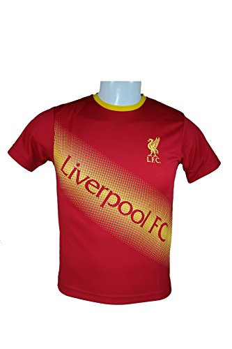 Liverpool F.C. Official Youth Soccer Training Performance Poly Jersey _I003R YM