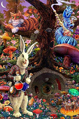 Studio B Down The Rabbit Hole _ Alice in Wonderland Poster 24 x 36in