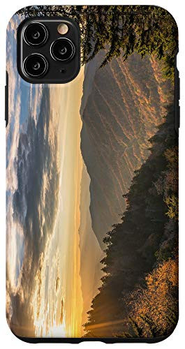 iPhone 11 Pro Max Great Smoky Mountains National Park Case