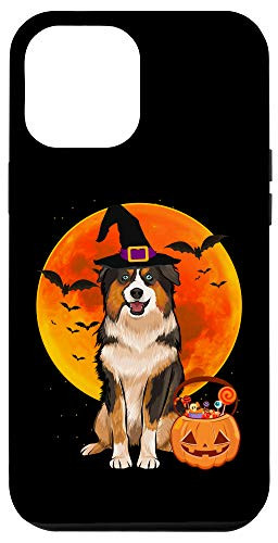 iPhone 12 Pro Max Halloween Miniature American Shepherd Jack O Lantern Pumpkin Case