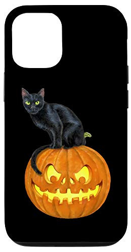 iPhone 12 12 Pro Black Cat Halloween Jack O Lantern Pumpkin Design Spooky Case