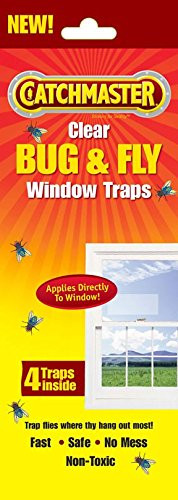 Clear Window Fly Trap Size Ea