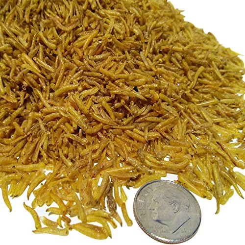 Aquatic Foods Inc. Freeze Dried White Worms _ Freeze Dried_ Great for Smaller Tropicals and Marines.1 4_lb