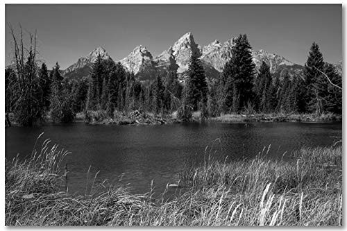 Western Wall Art Photography Print _ Black and White Picture of Grand Tetons at Schwabacher Landing in Grand Teton National Park Wyoming _ Unframed Rocky Mountain Decor 5x7 to 40x60