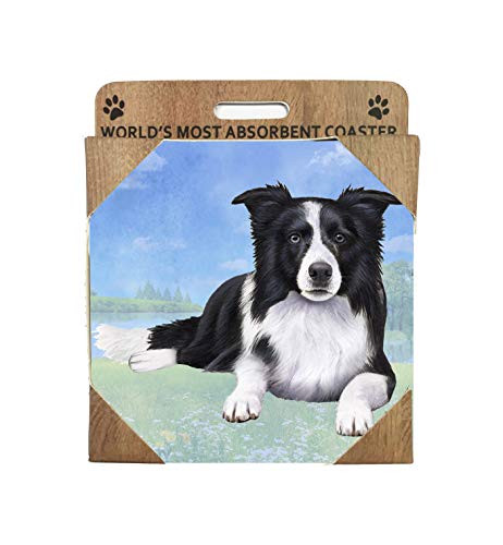 E and S Imports Worlds Most Absorbent Ceramic Coaster _ Border Collie _1_