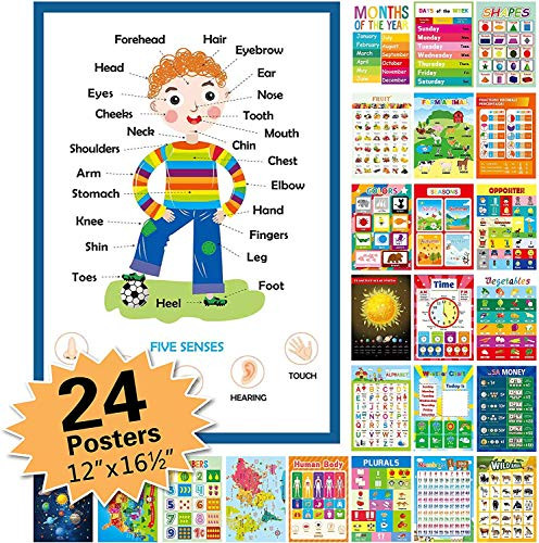 24 Pack Educational Posters for Preschool_Classroom Decorations and Decor Earply Learning Chart for Nursery Homeschool Kindergarten Classroom _12 X16.5 _