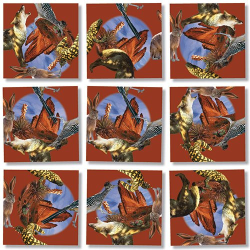 b. dazzle_ inc America Desert Southwest Wildlife Puzzle b. dazzle_ inc America Desert Southwest Wildlife Puzzle