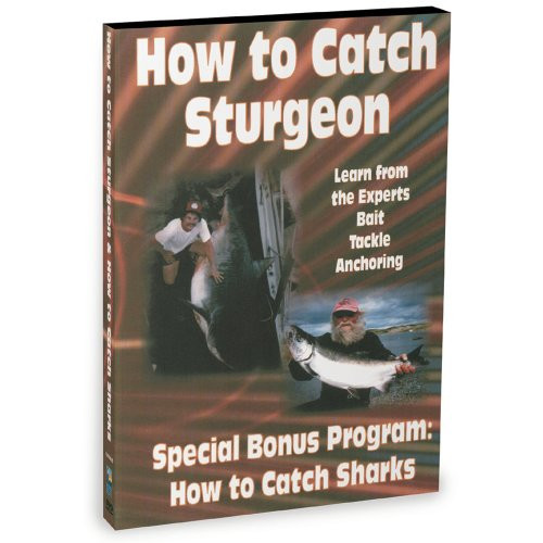 How To Catch Sharks  and  How To Catch Sturgeon