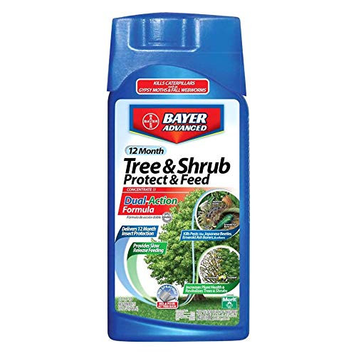 Bayer Advanced 12 Month Tree and Shrub Protect and Feed Bayer Advanced 12 Month Tree and Shrub Protect and Feed
