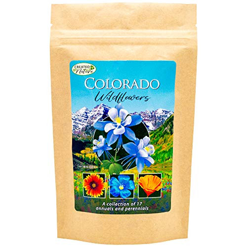 Colorado Wildflower Seed Mix _ A Collection of 17 annuals and perennials _ Over 53_000 Premium Seeds _ Enjoy The Natural Beauty of Colorado Flowers in Your own Home Garden