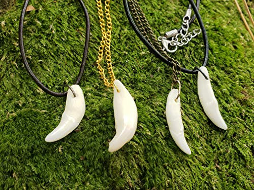 Coyote Tooth Pendant Necklace Polished White Fang Jewelry Rustic Outdoors _WCN_ Coyote Tooth Pendant Necklace Polished White Fang Jewelry Rustic Outdoors _WCN_