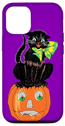 iPhone 12 12 Pro Scary Black Cat Sitting On A Jack_o_lantern For Halloween Case