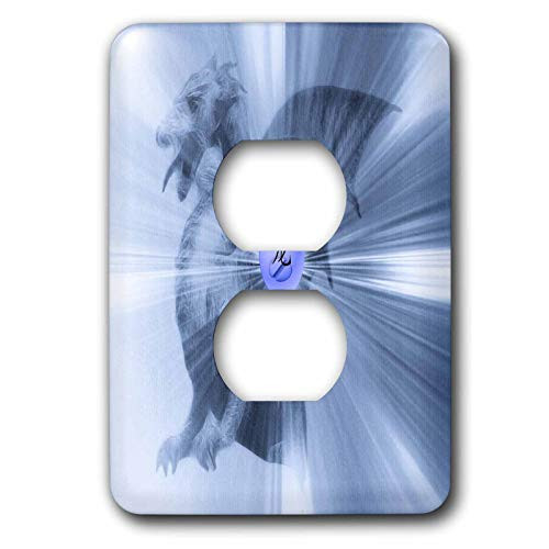 3dRose lsp_12601_6 Dragon J 2 Plug Outlet Cover