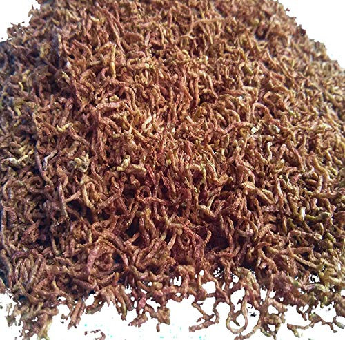 Freeze Dried Bloodworms_ Clean Fresh Grade A Floating Bloodworms.1 4_lb