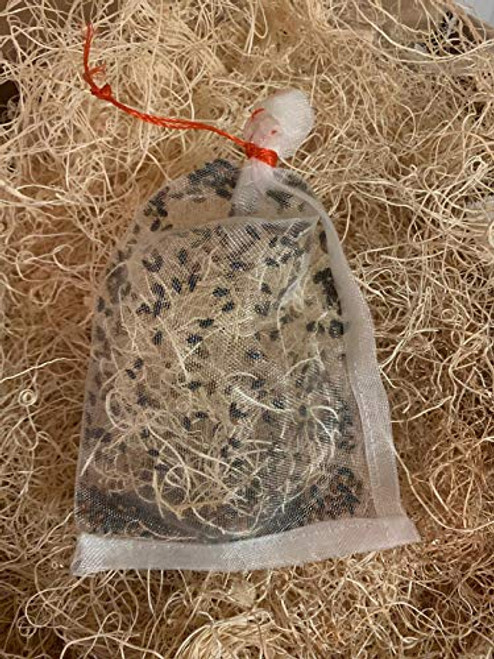 C and C 300 Live Ladybugs _ Guaranteed Live Delivery! _ Ladybugs Live for Garden C and C 300 Live Ladybugs _ Guaranteed Live Delivery! _ Ladybugs Live for Garden