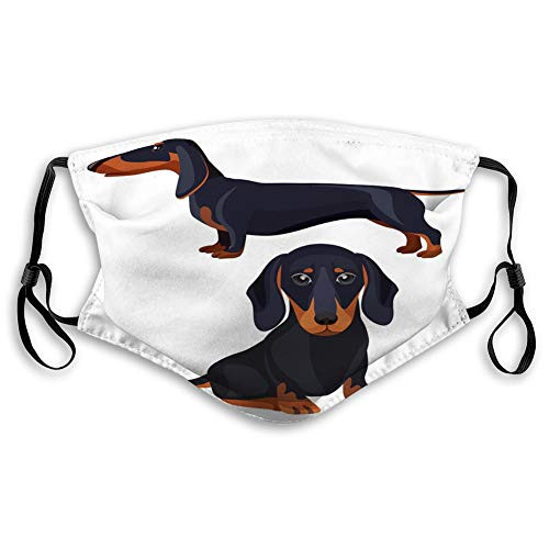 P.Scott Dust Covers for Outdoor Sport Half Cover Dachshund Dog Smooth Black Fur Long Ears Sits h Face Covers