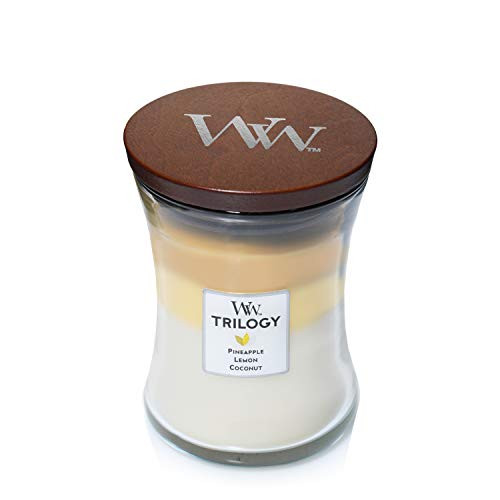 FRUITS OF SUMMER WoodWick Trilogy 10 oz Scented Jar Candle - 3 in One