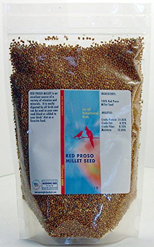 Morning Bird Red Proso Millet _1 lb_