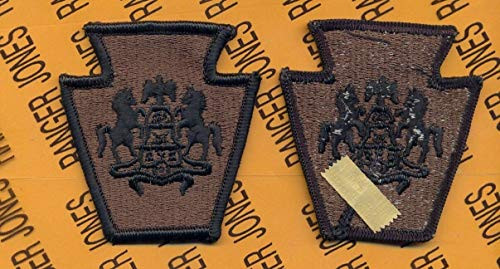 US Army Pennsylvania National Guard ARNG OD Green  and  Black Patch m e