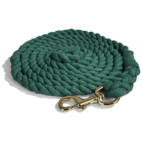 Intrepid International Heavy Duty Cotton 10 Foot Lead Rope with Brass Snap_ Hunter Green