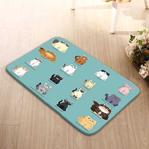 YILINGER Doormat Entrance Mat Floor Mat Rug Non Slip Bathroom Mats _23.6 inch x15.7 inch _L x W_ Cats Breed Set Sitting Front View