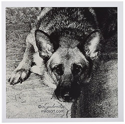 3dRose German Shepherd - Greeting Cards, 6 x 6 inches, set of 12 (gc_4620_2) 3dRose German Shepherd - Greeting Cards, 6 x 6 inches, set of 12 (gc_4620_2)