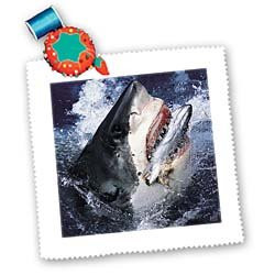 3dRose LLC qs_10588_1 Great White Shark 10 by 10-Inch Quilt, Square