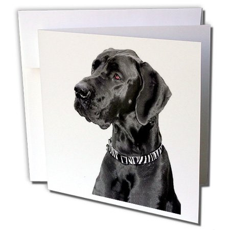 3dRose Black Great Dane - Greeting Cards, 6 x 6 inches, set of 12 (gc_1054_2)