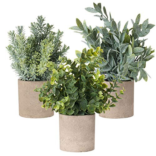 HomeDecorya Mini Potted Plants Artificial Eucalyptus 3 Pack Potted Artificial Plants Faux Potted Rosemary Small Fake Plants for Kitchen Greenery Decorations Potted Artificial Plants decor HomeDecorya Mini Potted Plants Artificial Eucalyptus 3 Pack Potted Artificial Plants Faux Potted Rosemary Small Fake Plants for Kitchen Greenery Decorations Potted Artificial Plants decor