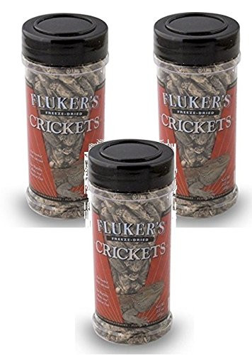 Fluker's 1.2_Ounce Freeze Dried Crickets _3 Pack_