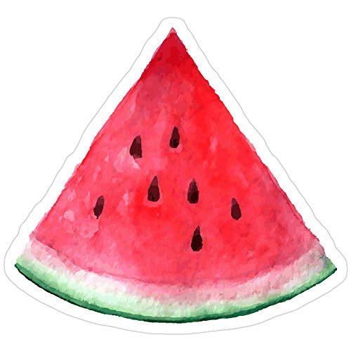 B. Strange Mall Juicy Watermelon. Watercolor Tropical Fruit Stickers _3 Pcs Pack_