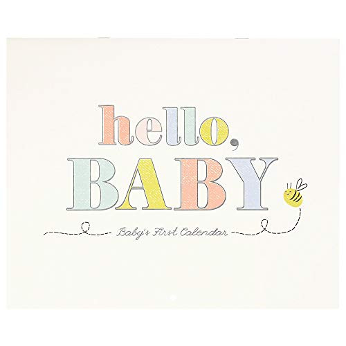 C.R. Gibson BA3_22584 ''Hello Baby'' Gender Neutral First Year Baby Calendar_ 11'' W x 18'' H