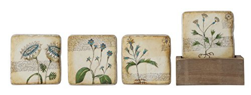 Creative Co-Op DA6805 Floral Themed Coaster Set with Wood Box Holder, Multicolor