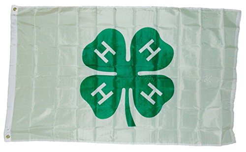 ALBATROS 3 ft x 5 ft 4H 4h 4 h Shamrock Flag Banner Brass Grommets Super Polyester for Home and Parades_ Official Party_ All Weather Indoors Outdoors ALBATROS 3 ft x 5 ft 4H 4h 4 h Shamrock Flag Banner Brass Grommets Super Polyester for Home and Parades_ Official Party_ All Weather Indoors Outdoors