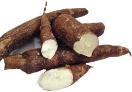 Fresh Whole Yuca Root _5lb_