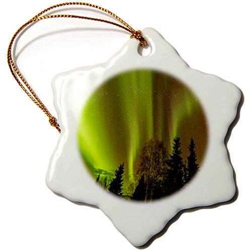 3dRose" USA, Alaska, Fairbanks Green Northern Lights Snowflake Ornament, 3"