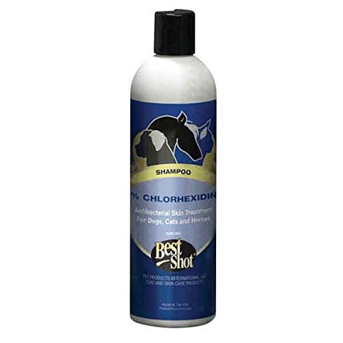 M.E.D. Chlorhexidine Pet Shampoo Dog Cat Grooming Skin Treatment 12 oz Bottle