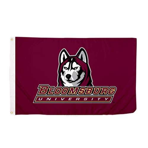 Desert Cactus Bloomsburg University Huskies NCAA 100 Percent  Polyester Indoor Outdoor 3 feet x 5 feet Flag