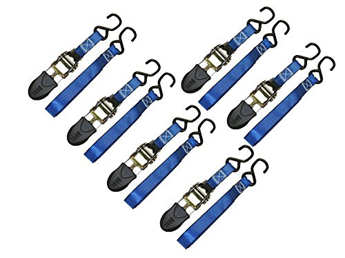 Everest Premium Ratchet Tie Down  6 PK  1 IN  12 FT  400 LBS Working Load  1200 LBS Break Strength  Cambuckle Alternative  Cargo Straps Perfect for Moving Appliances, Lawn Equipment and Motorcycles