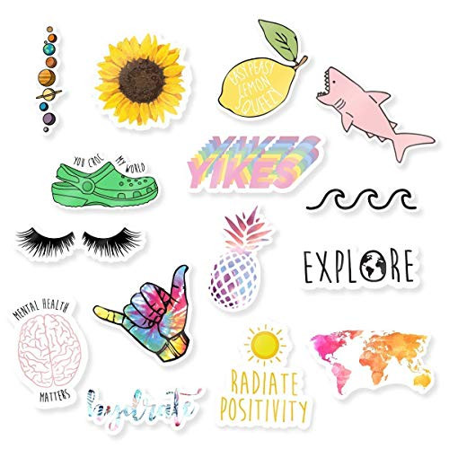 Fun Sticker Mega Pack _ 3 inch  Vinyl Stickers _ 15pcs
