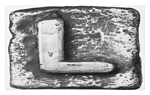 Ambesonne Letter L Doormat_ Typography Composite L Alphabet Letter Name Baroque Knights Iron Words Writing Design_ Decorative Polyester Floor Mat with Non_Skid Backing_ 30 inch  X 18 inch _ Grey