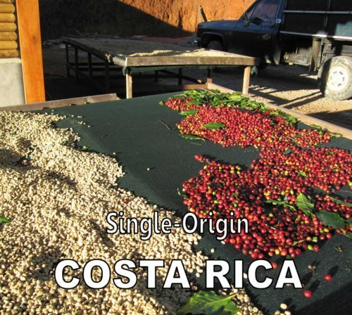 Costa Rica Los Cerros Fancy E p Micro Lot 100 Percent  Arabica Coffee Beans from the San Juanillo Valley _Light Roast _City__ 2 pounds Whole Beans_