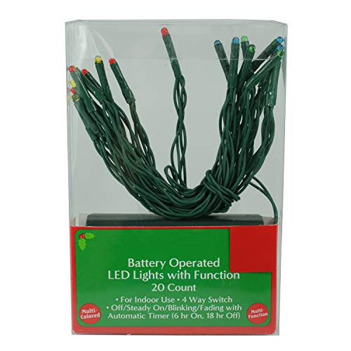 Connie N Randy Holiday Style Battery Operated LED Lights with Function